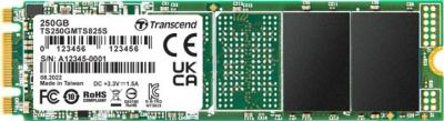 Transcend 825S 250 GB (TS250GMTS825S)