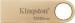 Kingston 128 GB DataTraveler SE9 Gen 3 Gold (DTSE9G3/128GB)